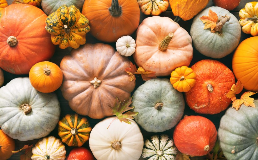 Various fresh ripe pumpkins as background, top view. Holiday decoration