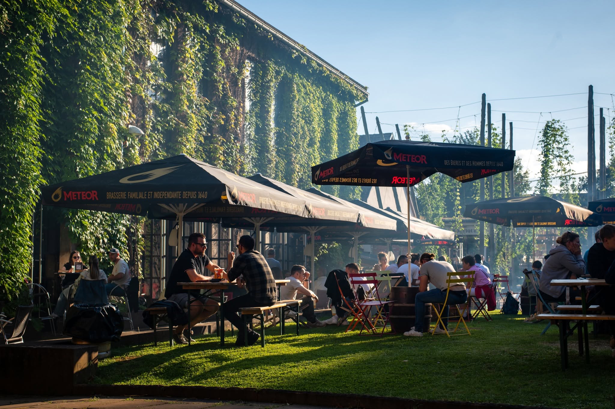 Le Biergarten de la Villa Meteor à Hochfelden