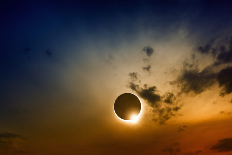 AdobeStock_79399902-768x512.jpeg